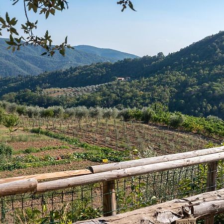 基安蒂格雷夫Poggio Al Mandorlo别墅 外观 照片