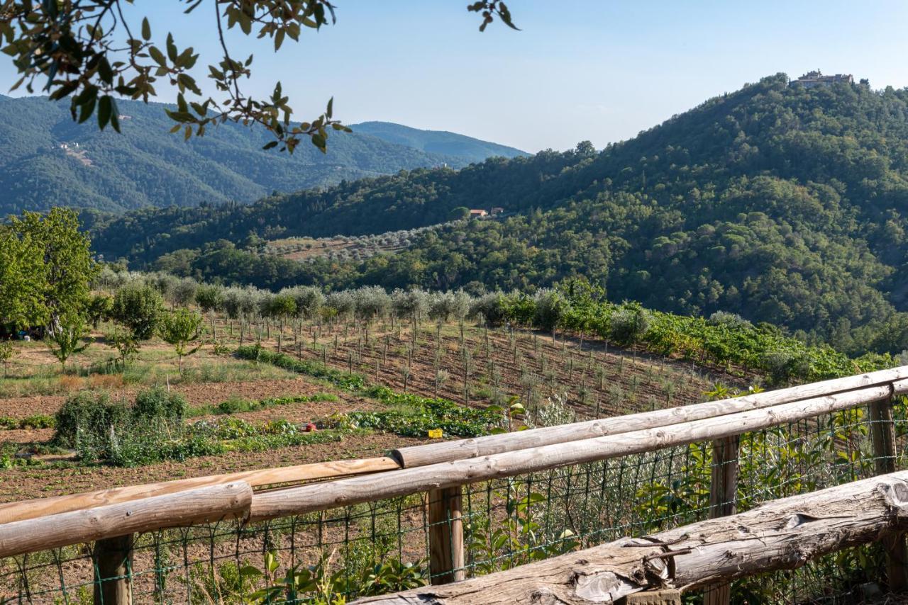 基安蒂格雷夫Poggio Al Mandorlo别墅 外观 照片